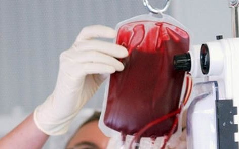 bloedplasma