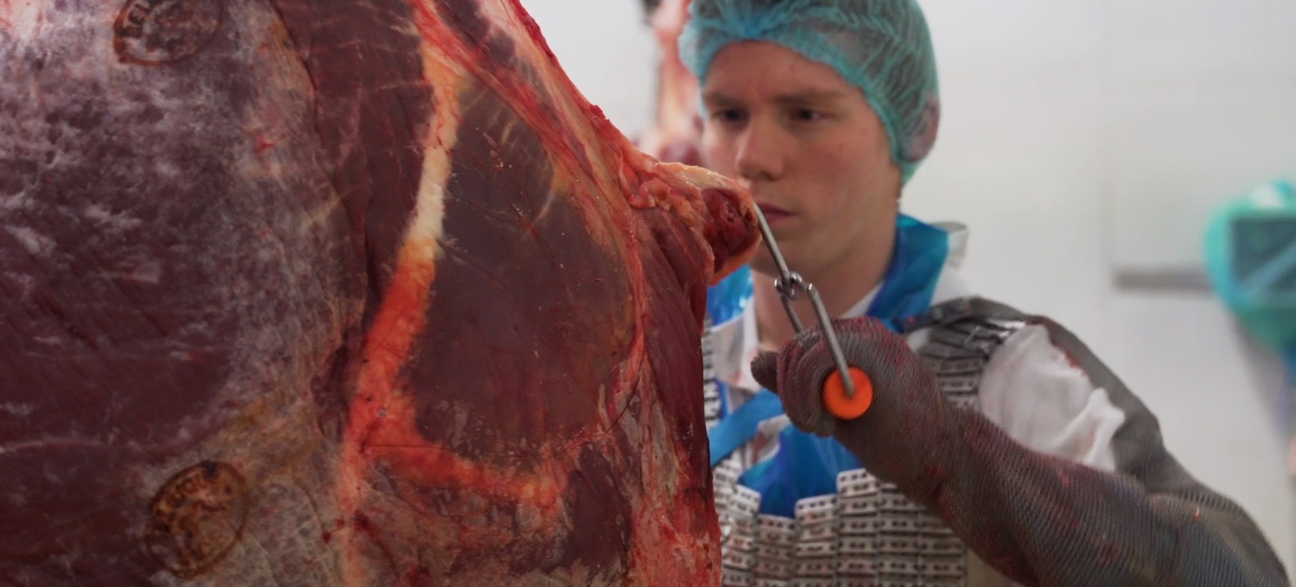E.coli bacterie treft ook Danis en Stefaan Lambrecht