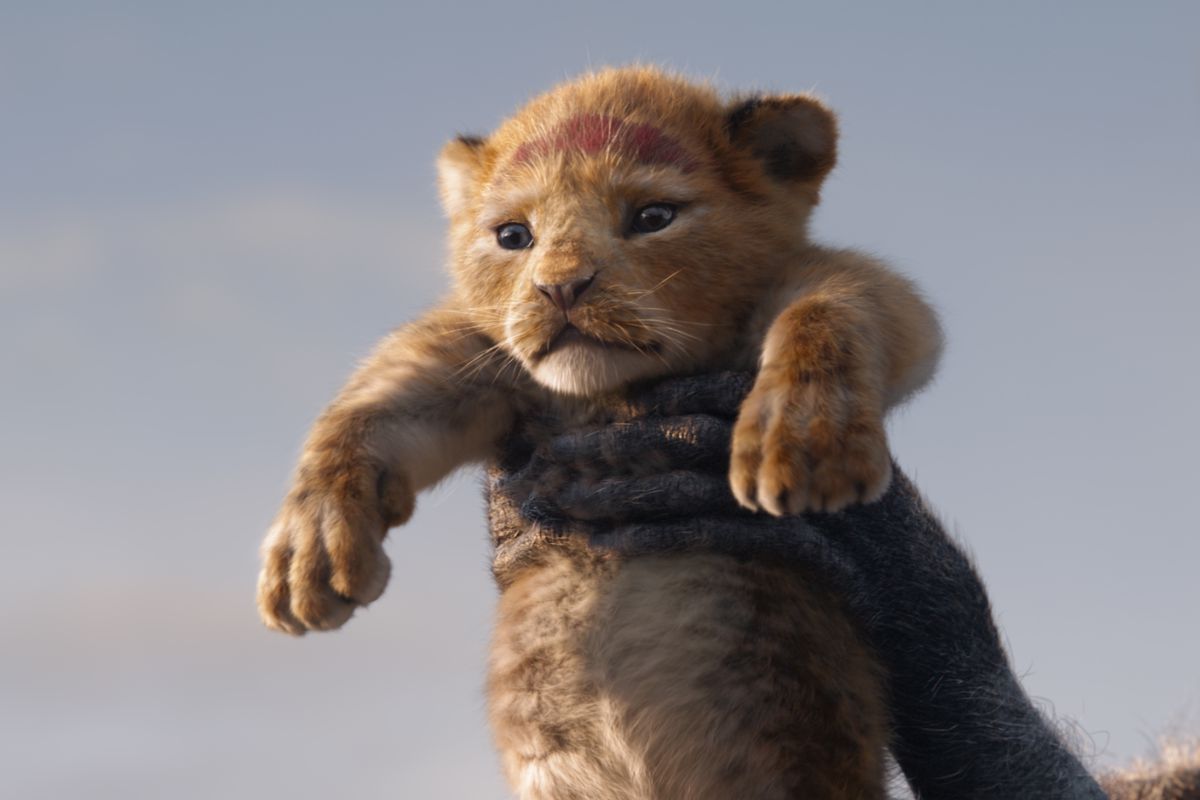 Familie Bert gaat met Kinepolis naar grote hoogtes (maar krijgt Franse tegenwind)