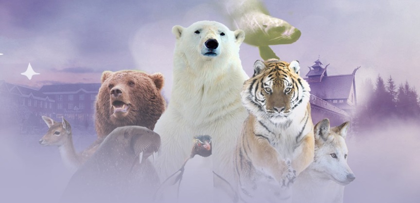 CORONA – Dierenpark Pairi Daiza schat omzetverlies op 30 miljoen euro
